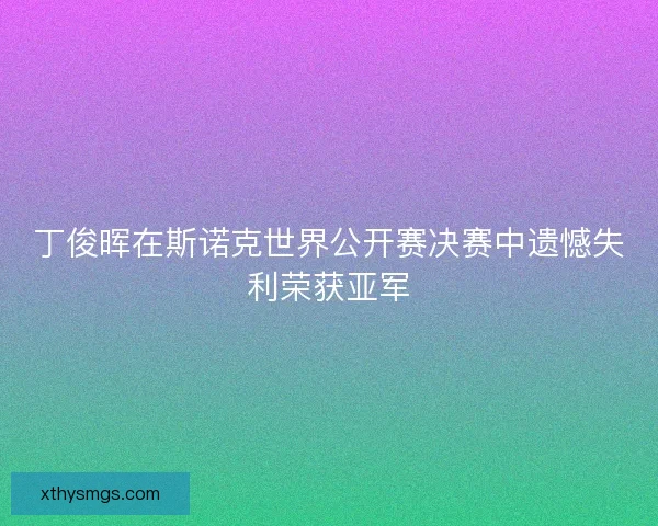 丁俊晖在斯诺克世界公开赛决赛中遗憾失利荣获亚军
